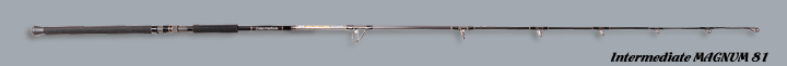 Intermediate MAGNUM 81